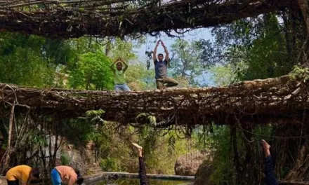 Applications Open for Prime Minister’s Awards for Yoga – 2026