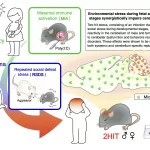 How ‘Two-Hit Stress’ During Pregnancy Changes the Brain and Behavior in Mice