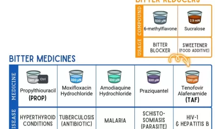 New Study Explores Genetic Differences in Bitter Medicine Sensitivity