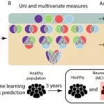 AI-Analyzed Brain Waves During Sleep Predict Cognitive Decline Years in Advance, Study Finds