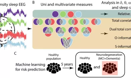 AI-Analyzed Brain Waves During Sleep Predict Cognitive Decline Years in Advance, Study Finds