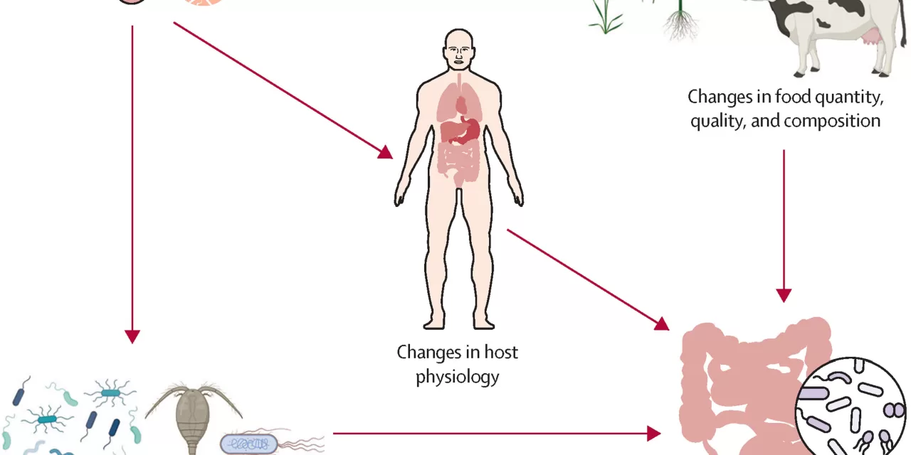 More Than a Gut Feeling: How Climate Change Affects GI Health