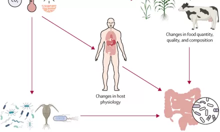 More Than a Gut Feeling: How Climate Change Affects GI Health