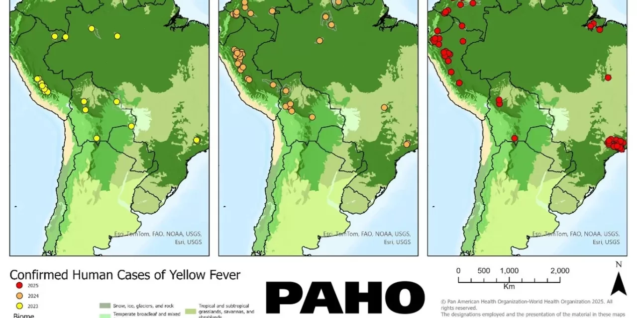 Disease Outbreak News Yellow fever – Region of the Americas