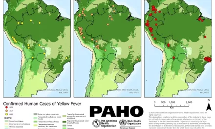 Disease Outbreak News Yellow fever – Region of the Americas