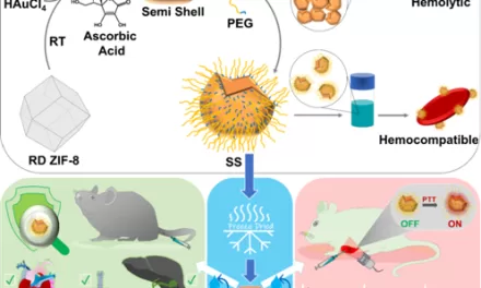 Indian Scientists Pioneer One-Step Nano-Cup Synthesis for Advanced Cancer Heat Therapy