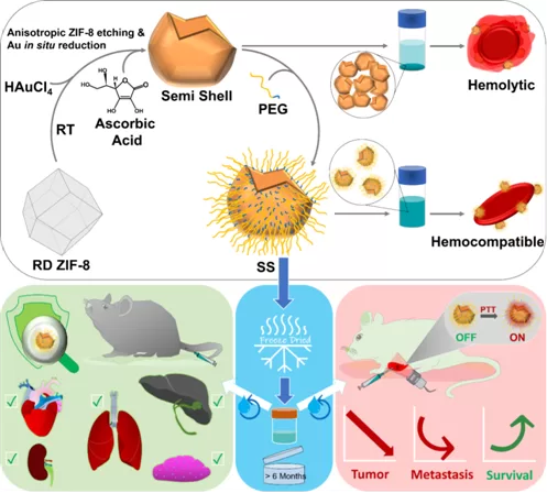 Indian Scientists Pioneer One-Step Nano-Cup Synthesis for Advanced Cancer Heat Therapy