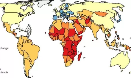 Treating Common Bacteria Could Dramatically Reduce Global Gastric Cancer Cases, Study Finds