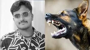 MBA Graduate Dies After Dog Bite Near Hosur