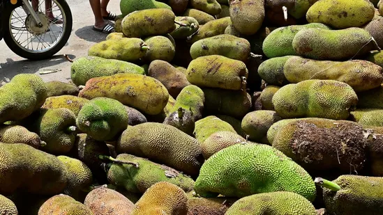 Kerala Bus Drivers Fail Breath Test After Eating Jackfruit