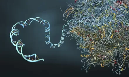 IBM and Moderna Achieve Quantum Computing Breakthrough in mRNA Structure Prediction