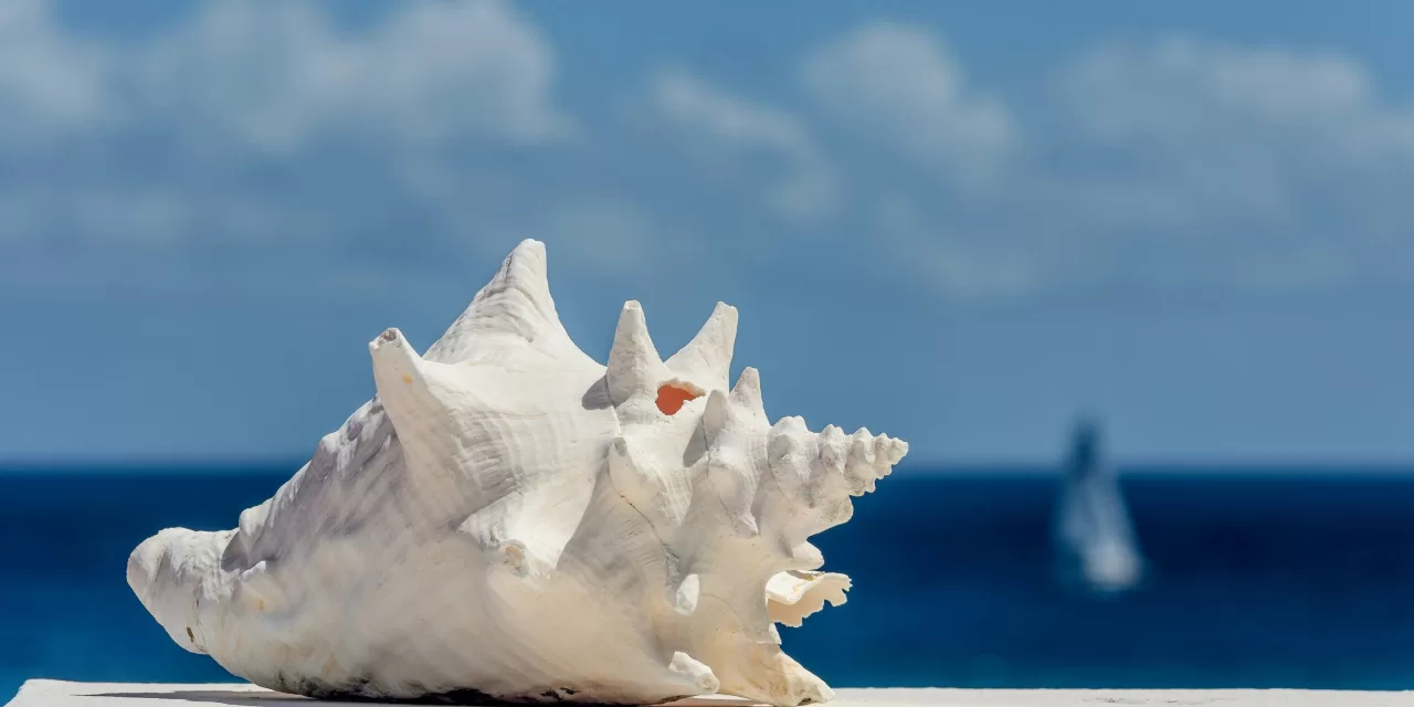 Ancient Conch Shell Ritual May Offer New Hope for Sleep Apnea Sufferers