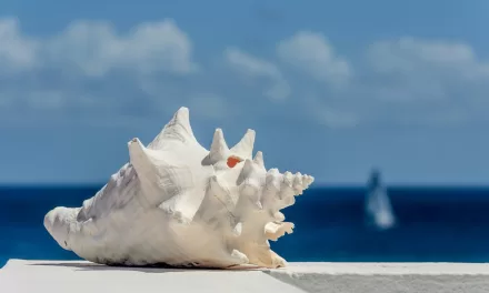 Ancient Conch Shell Ritual May Offer New Hope for Sleep Apnea Sufferers