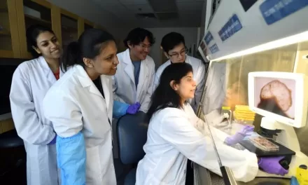 Scientists Create World’s First Whole-Brain Organoid, Paving New Paths in Neuropsychiatric Research