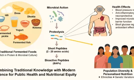 Fermented Foods: A Key to Personalized Nutrition for India’s Diverse Population