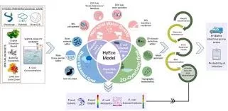 IIT Roorkee Develops Innovative Tool to Track Flood-Borne Diseases, Tested During 2023 Delhi Floods