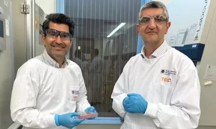 World-First Living Skin Grown in Australian Laboratory: A Milestone for Regenerative Medicine