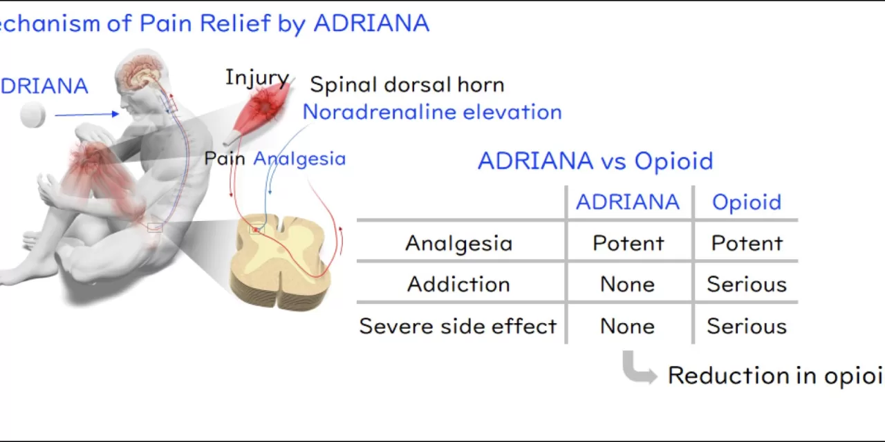 New Analgesic ADRIANA Shows Promise for Pain Relief Without Opioid Risks