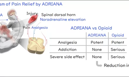 New Analgesic ADRIANA Shows Promise for Pain Relief Without Opioid Risks