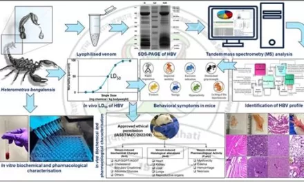 Mystery behind the sting of the black scorpion decoded