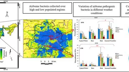 Invisible Threat: Airborne Pathogens Double Lung and Gut Infection Risk in Densely Populated Cities, New Research Warns