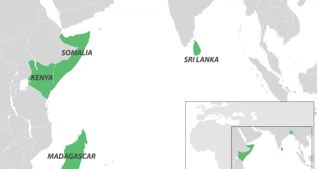 Indian Ocean Chikungunya Outbreak Maintains Level 2 Alert Amid Global Spread Concerns