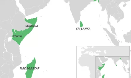 Indian Ocean Chikungunya Outbreak Maintains Level 2 Alert Amid Global Spread Concerns