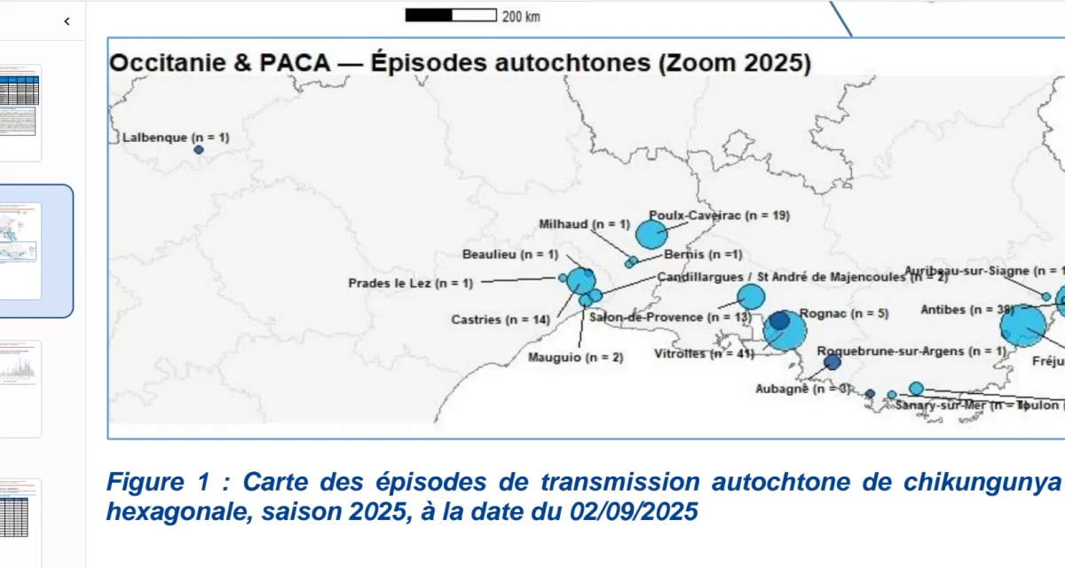 France’s Mediterranean Coast Faces Unprecedented Chikungunya Outbreaks in 2025 Amid Rising Mosquito-Borne Threats