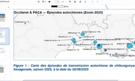 France’s Mediterranean Coast Faces Unprecedented Chikungunya Outbreaks in 2025 Amid Rising Mosquito-Borne Threats