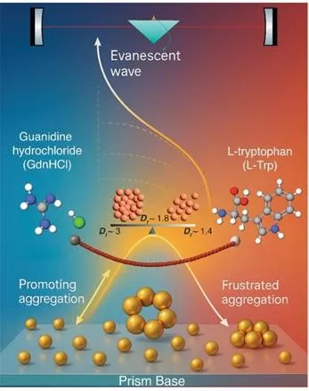A tug of war in gold nanoscale assembly can help produce better biosensors