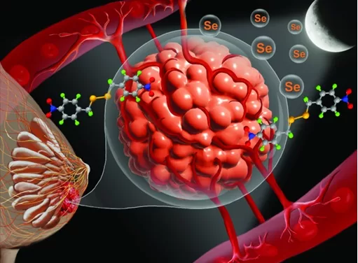 India’s Cancer Care Revolution: Tata Memorial Centre’s 11-Institution Expansion Redefines Oncology Access