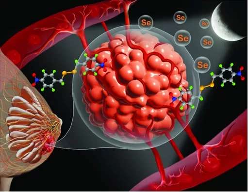 Tiny Blood Vessels May Fuel the Spread of Cancer Cells, New Research Shows