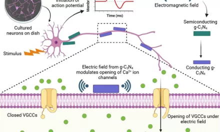 Indian researchers pioneer nanomaterial that stimulates brain cells without surgery