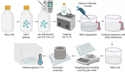“Bird Flu Virus Can Survive Aging Process in Raw Milk Cheese, Study Finds”