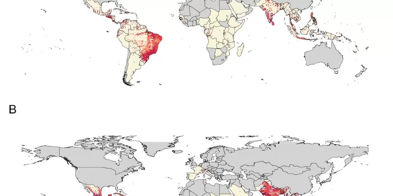India Faces World’s Highest Chikungunya Risk: New Study Highlights Urgent Need for Prevention, Vaccine Strategies
