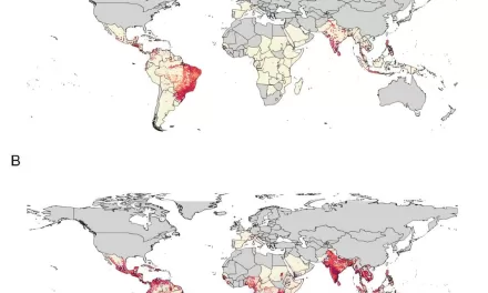 India Faces World’s Highest Chikungunya Risk: New Study Highlights Urgent Need for Prevention, Vaccine Strategies