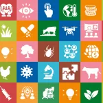 Beyond the Blueprint: WHO Experts Call for an Immediate Shift From One Health Theory to Local Action