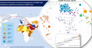 WHO EPI-WIN Webinar: from data to action: understanding how WHO’s Global Surveillance on Coronaviruses informs response