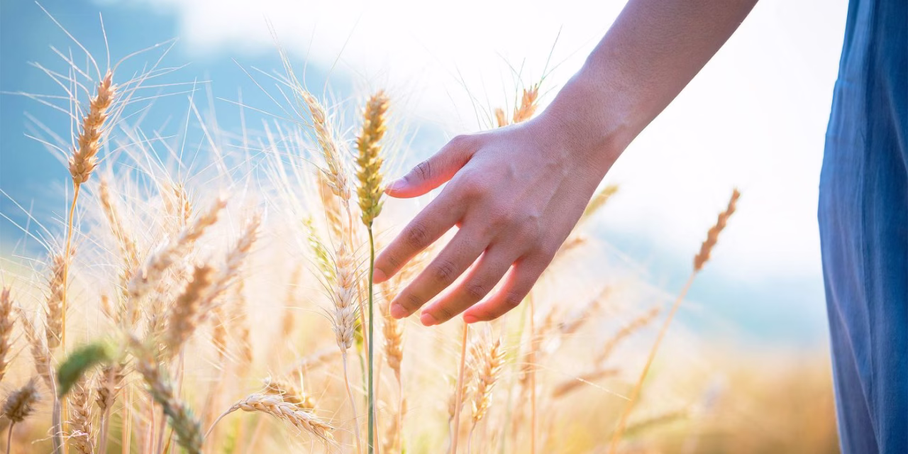 Humans Possess a Remarkable ‘Seventh Sense’ of Remote Touch, New Research Shows