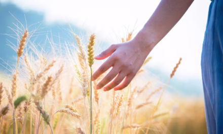 Humans Possess a Remarkable ‘Seventh Sense’ of Remote Touch, New Research Shows