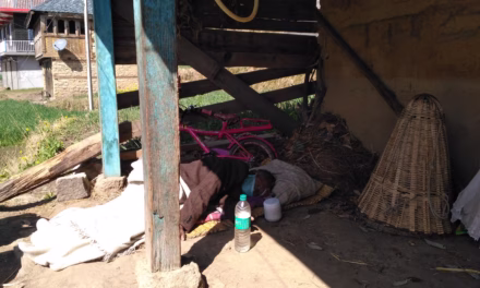 India – Tuberculosis Situation (WHO Global TB Report 2025)