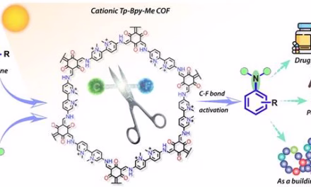 New sunlight-driven method to break tough C–F bonds useful for pharmaceutical and agrochemical industries