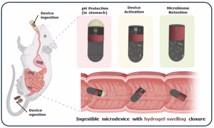 New “Smart Pill” from IIT Delhi and AIIMS Promises to Unlock the Hidden Secrets of the Small Intestine