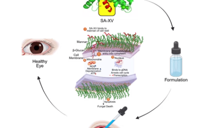 Peptide therapy emerges as a game-changer for eye infections