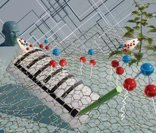 Pencil, paper & graphene brought together for sensors useful for hospital and farms