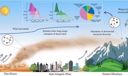 Desert bacteria rides in the wind to affect health in the Himalayas