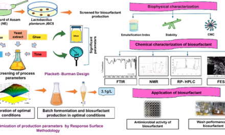North East institute synthesises biobased compound that can substitute lubricants in cosmetic industry