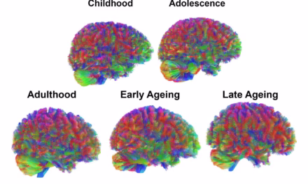 The Five Eras of the Human Brain: New Research Identifies Key Turning Points at Ages 9, 32, 66, and 83