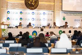 From Policy to Practice: Africa Paves the Way for Regulated Traditional Medicine in Primary Care