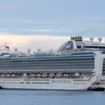 The Stomach Bug at Sea: Latest Cruise Ship Outbreak Highlights Why Norovirus Remains Infinitely Stubborn